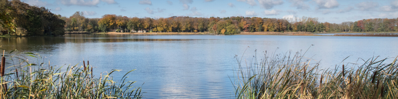 Slider homepage foto 2